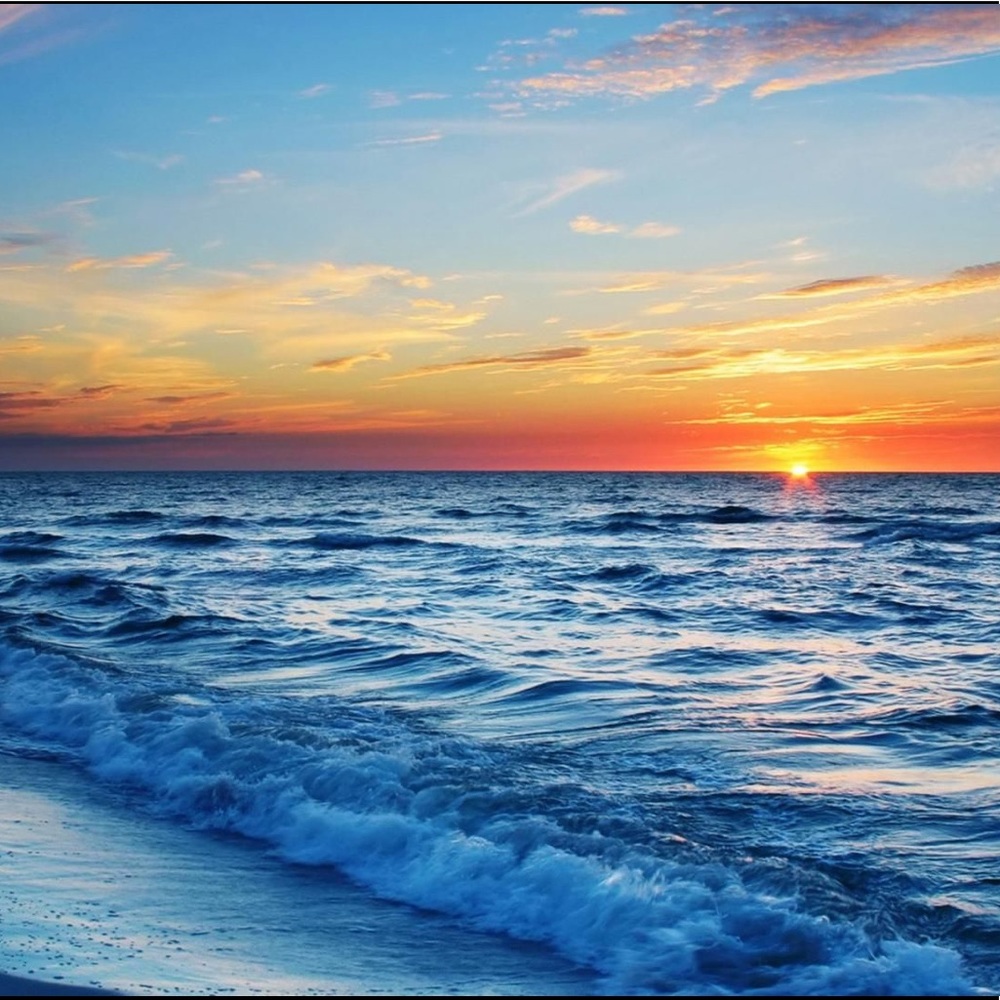 Meet your Posher, Lucy